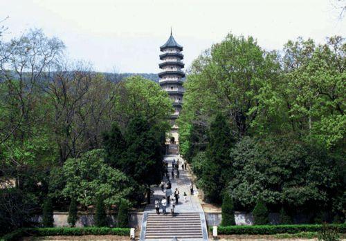 灵谷寺网红师傅电话,电话背后的传奇人生