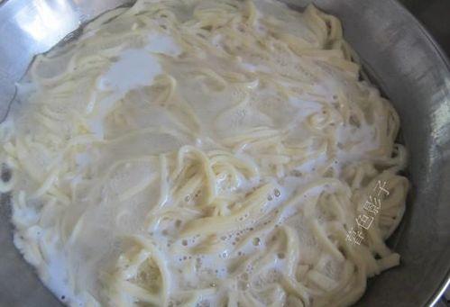 明星吃面条全集图,一场视觉与味蕾的双重盛宴