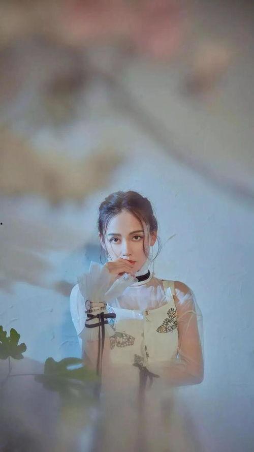 小说明星系列之陈乔恩,璀璨星途，情感纠葛，揭秘明星背后的故事