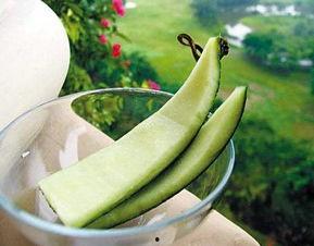 中医老师讲解瓜萎,中医宝库中的润肺明珠