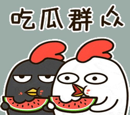 每天坚持吃瓜群众,吃瓜群众的健康生活日常