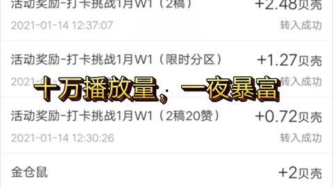 爆料视频多久拿到收益,从上传到盈利的神秘旅程