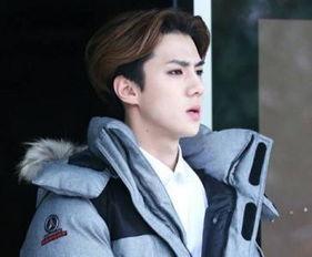 韩国男明星的丁丁尺寸,丁丁尺寸背后的秘密与传闻