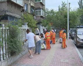 鞍山市李家镇新闻头条,李家镇焕新颜，乡村振兴战略成效显著