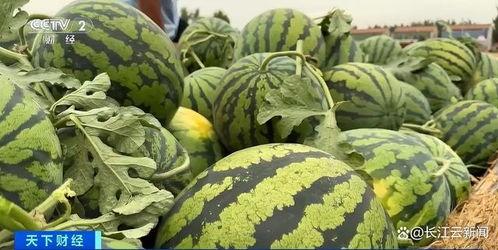 全国吃瓜网友,揭秘娱乐圈幕后真相