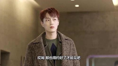 霸道明星类,权势与魅力的完美融合