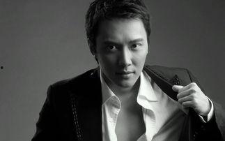 男明星电脑壁纸,男明星的时尚品味与个性魅力