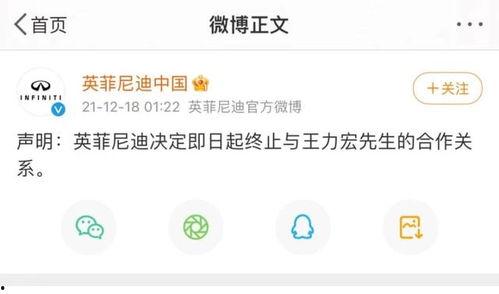 兄弟们吃瓜车行,一场别开生面的汽车行业盛宴