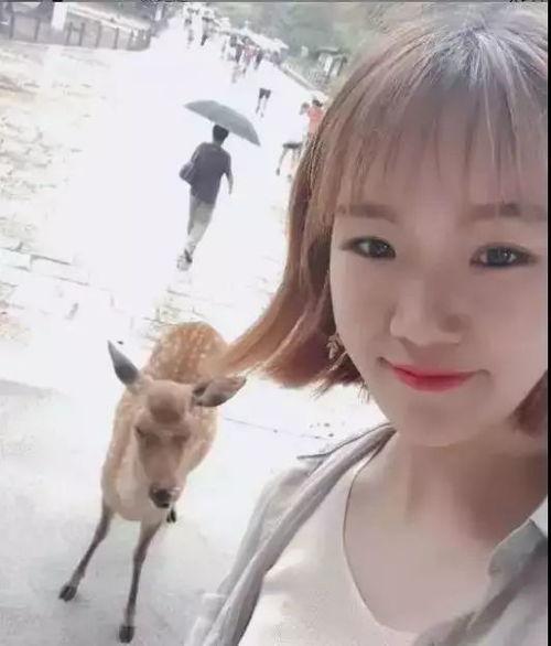 来应城的明星,明星汇聚共璀璨