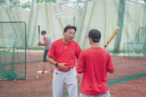 棒垒球明星,传奇明星的辉煌岁月