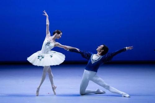 芭蕾舞 明星,揭秘芭蕾舞明星的璀璨人生