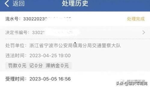 在头条怎么拍照搜索东西,轻松一拍，即刻获取信息