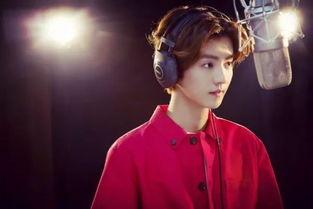 那个明星最有实力,揭秘XXX的辉煌之路