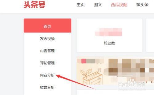 织女头条号视频下载,轻松获取精彩内容