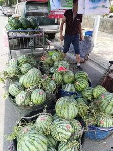 吕梁吃瓜事件真相,揭开真相背后的惊人内幕